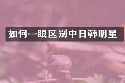 如何一眼区别中日韩明星