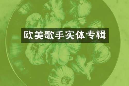 欧美歌手实体专辑