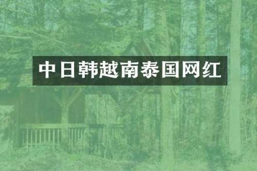 中日韩越南泰国网红