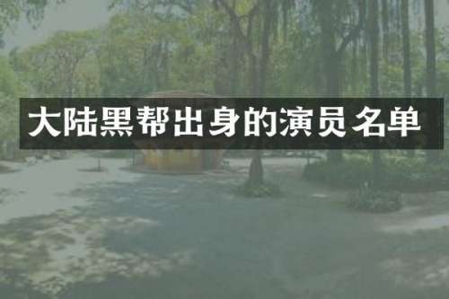 大陆黑帮出身的演员名单