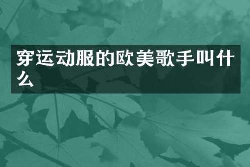 穿运动服的欧美歌手叫什么