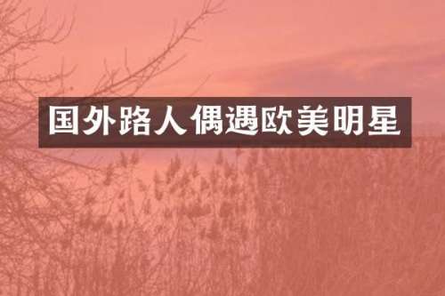 国外路人偶遇欧美明星