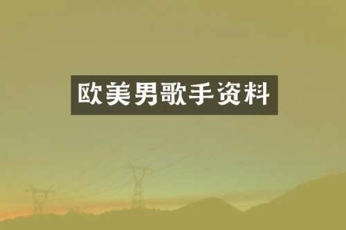 欧美男歌手资料