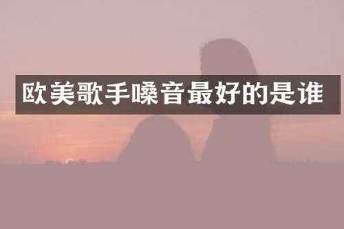 欧美歌手嗓音最好的是谁