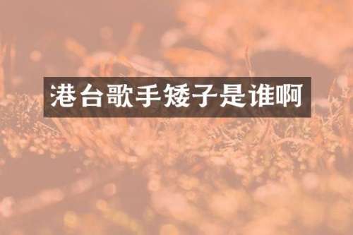 港台歌手矮子是谁啊