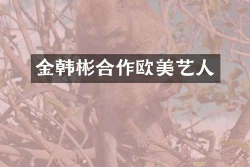金韩彬合作欧美艺人