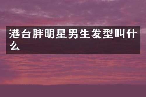 港台胖明星男生发型叫什么