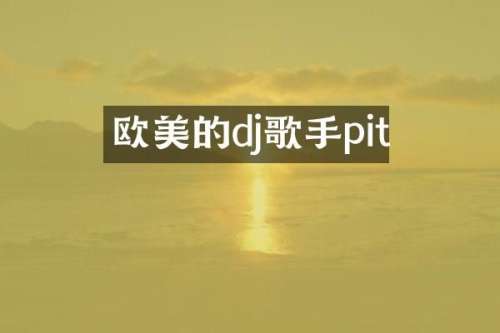 欧美的dj歌手pit