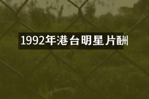 1992年港台明星片酬