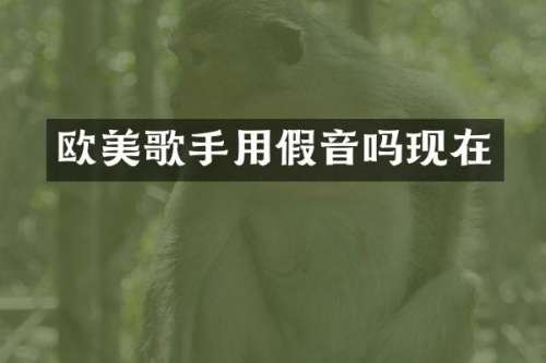 欧美歌手用假音吗现在