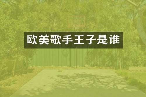 欧美歌手王子是谁