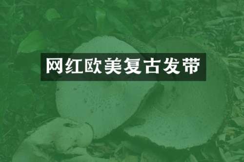 网红欧美复古发带