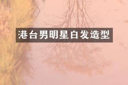 港台男明星白发造型
