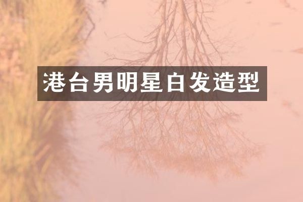 港台男明星白发造型