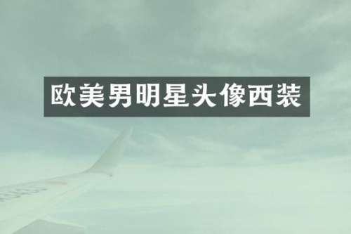 欧美男明星头像西装