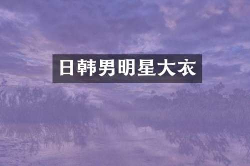 日韩男明星大衣
