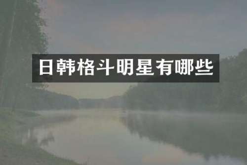 日韩格斗明星有哪些