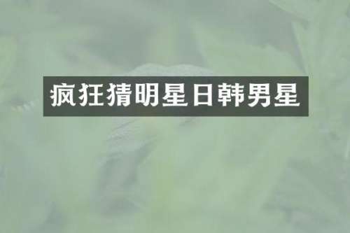 疯狂猜明星日韩男星