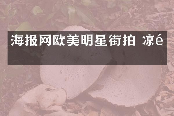 海报网欧美明星街拍 凉鞋