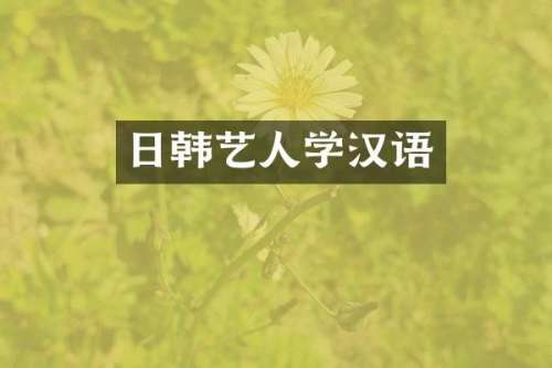 日韩艺人学汉语