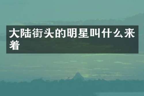 大陆街头的明星叫什么来着
