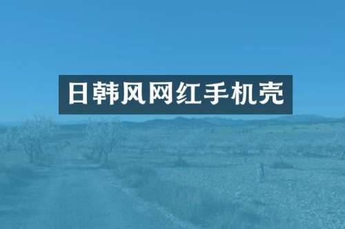 日韩风网红手机壳