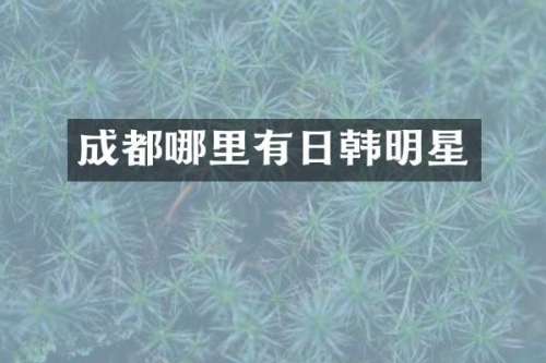 成都哪里有日韩明星