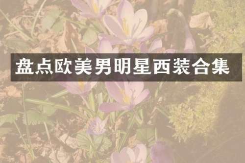盘点欧美男明星西装