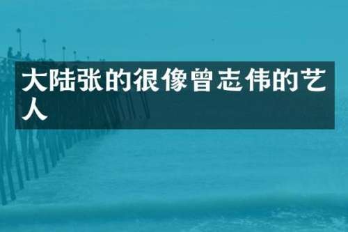 大陆张的很像曾志伟的艺人