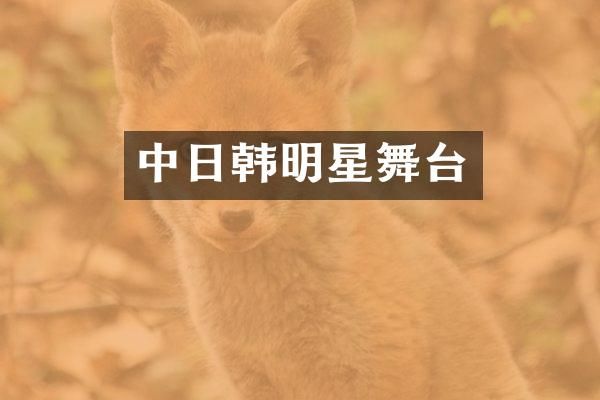 中日韩明星舞台