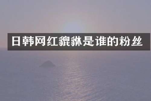 日韩网红貔貅是谁的粉丝