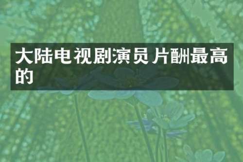大陆电视剧演员片酬最高的