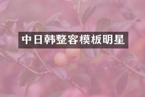 中日韩整容模板明星
