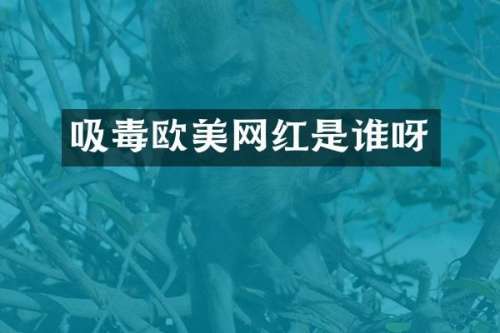 吸毒欧美网红是谁呀