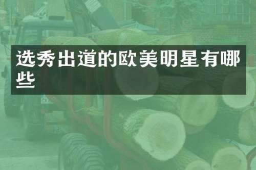 选秀出道的欧美明星有哪些
