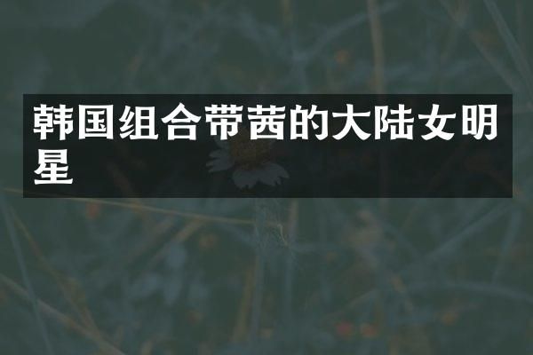 韩国组合带茜的大陆女明星