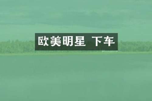 欧美明星 下车