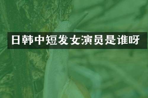 日韩中短发女演员是谁呀
