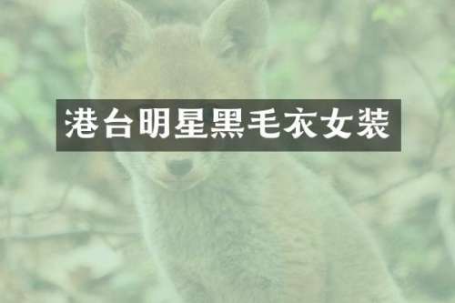 港台明星黑毛衣女装