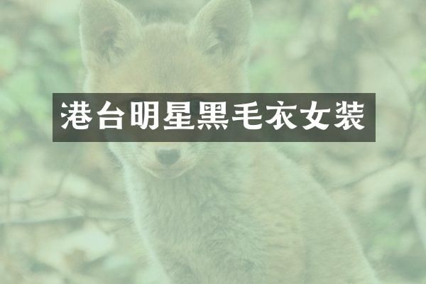 港台明星黑毛衣女装