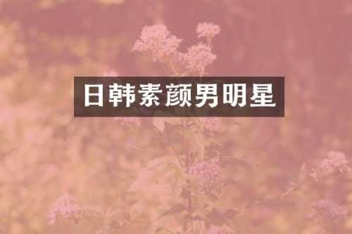 日韩素颜男明星