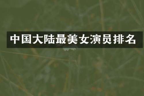 中国大陆最演员排名