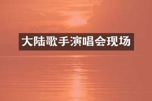 大陆歌手演唱会现场