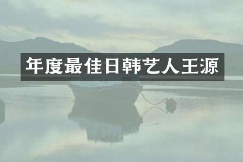 年度最佳日韩艺人王源