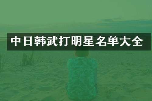 中日韩武打明星名单大全