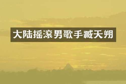 大陆摇滚男歌手臧天朔