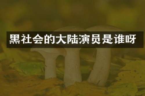 黑社会的大陆演员是谁呀