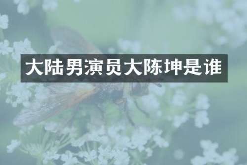 大陆男演员大陈坤是谁