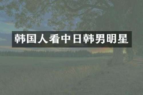 韩国人看中日韩男明星
