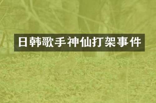 日韩歌手神仙打架事件